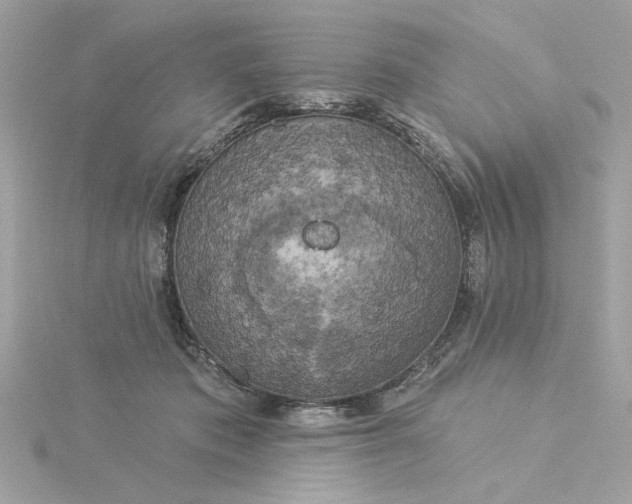 X0000116030413200912041939