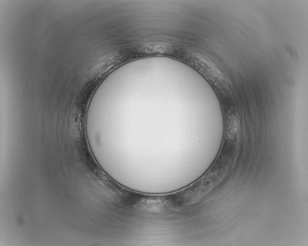 X0000116030414200912041939