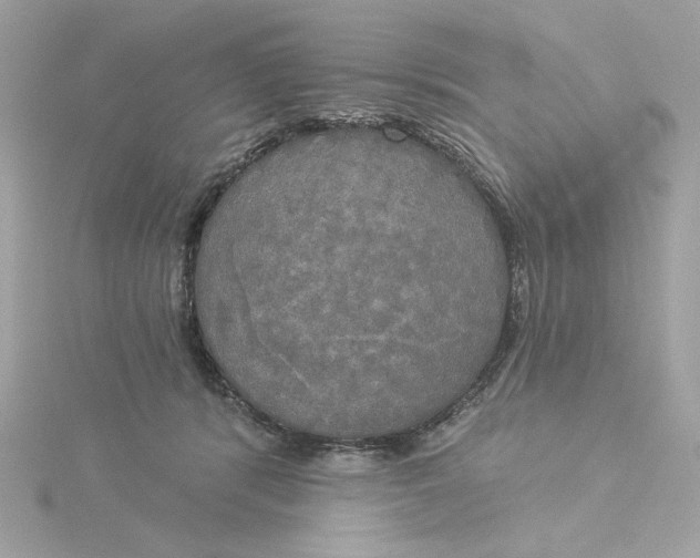 X0000116030416200912041939