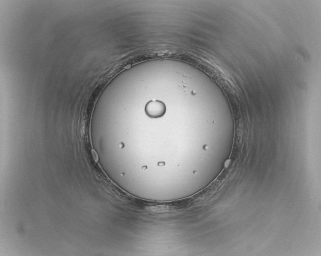 X0000116030417200912041939