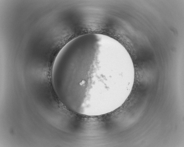 X0000116030419200912041939