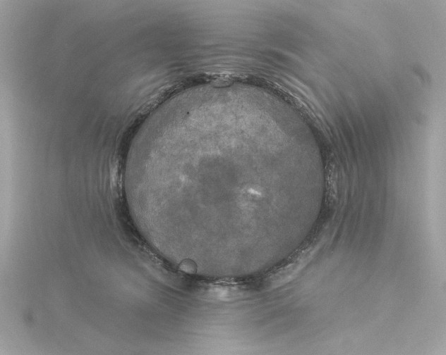 X0000116030420200912041939