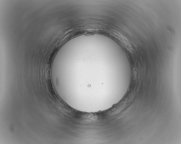 X0000116030421200912041939