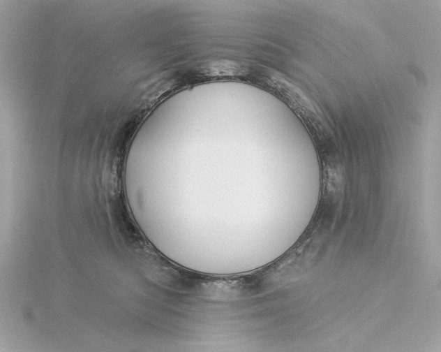 X0000116030422200912041938