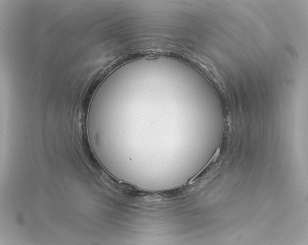 X0000116030423200912041938