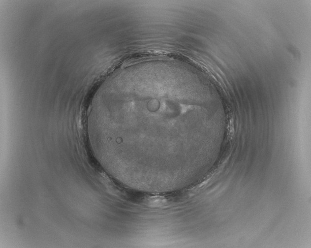 X0000116030424200912041938