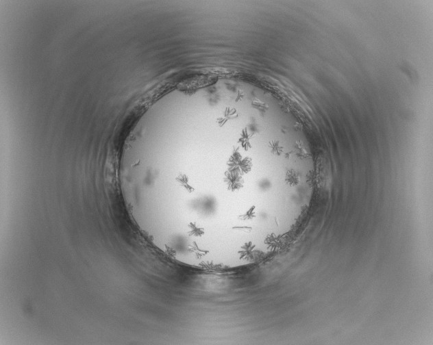 X0000116030425200912041938