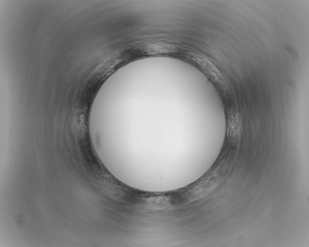 X0000116030426200912041938