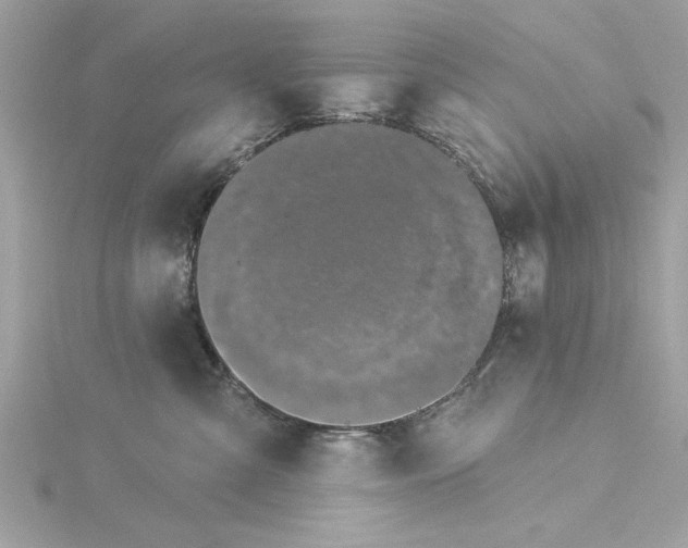 X0000116030427200912041938