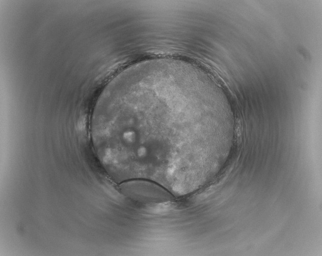 X0000116030428200912041938