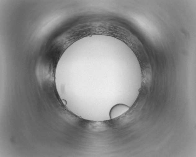 X0000116030431200912041938