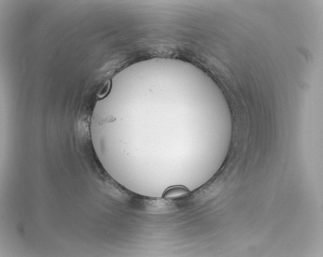 X0000116030432200912041938