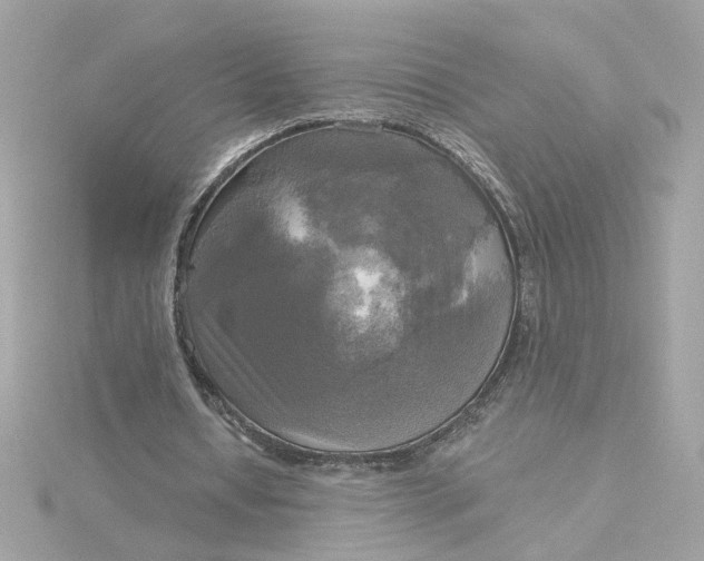 X0000116030434200912041938