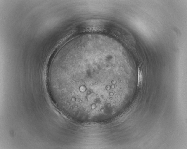 X0000116030435200912041938