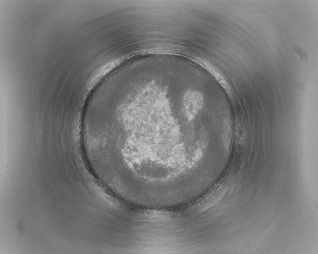 X0000116030437200912041938