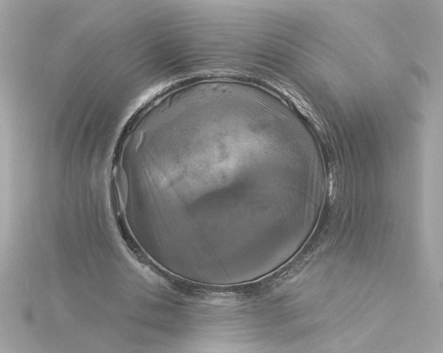 X0000116030438200912041938