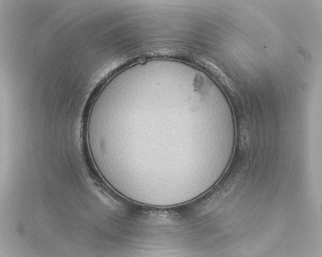 X0000116030439200912041938