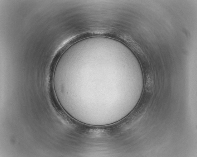 X0000116030440200912041938