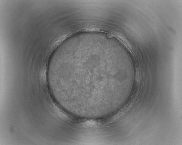 X0000116030441200912041938