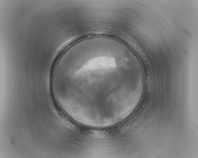 X0000116030442200912041938