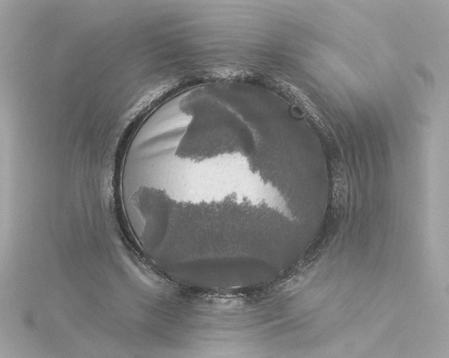 X0000116030443200912041938