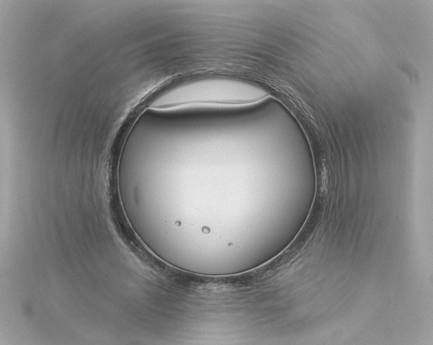 X0000116030444200912041938