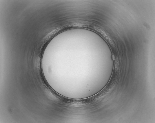 X0000116030445200912041938