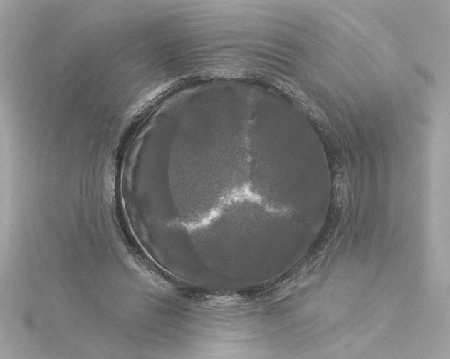 X0000116030446200912041938