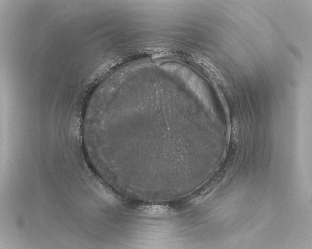 X0000116030449200912041938