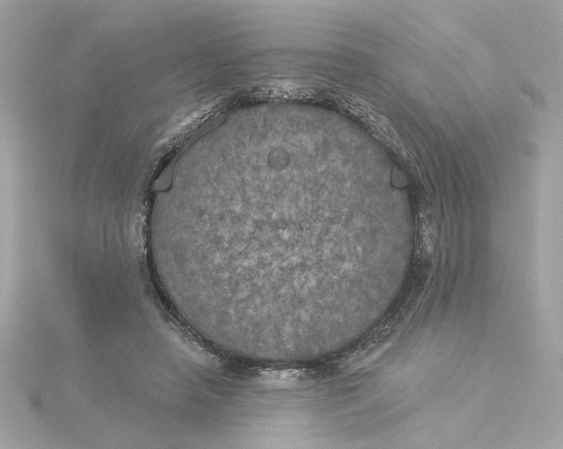 X0000116030450200912041938