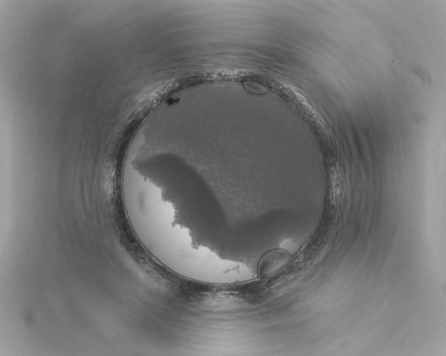 X0000116030451200912041938