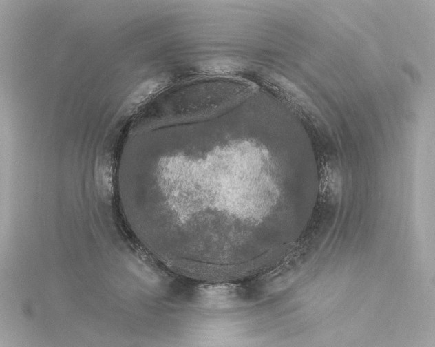 X0000116030452200912041938