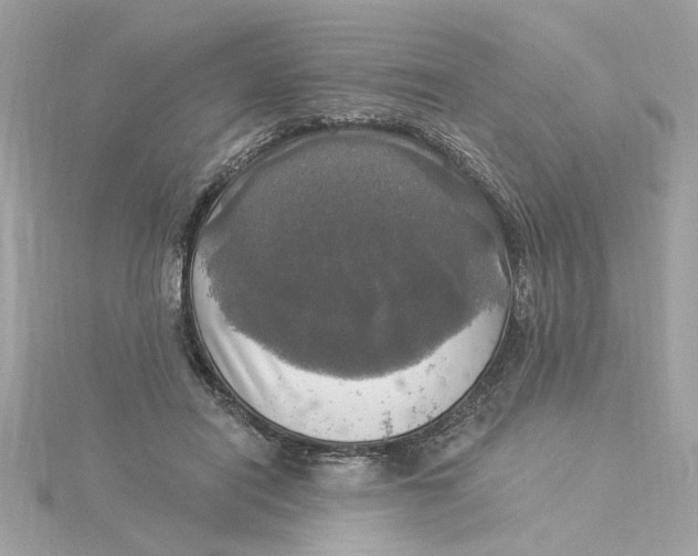 X0000116030454200912041938