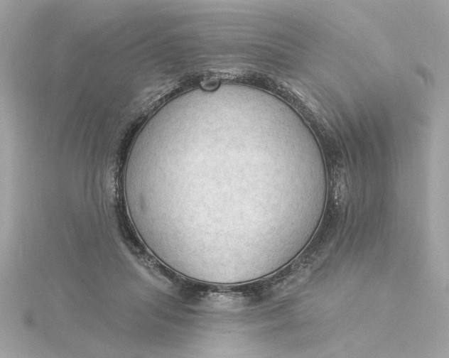 X0000116030455200912041938