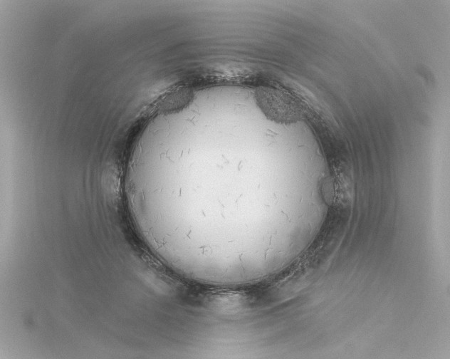 X0000116030456200912041938