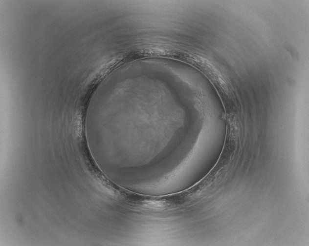 X0000116030457200912041938