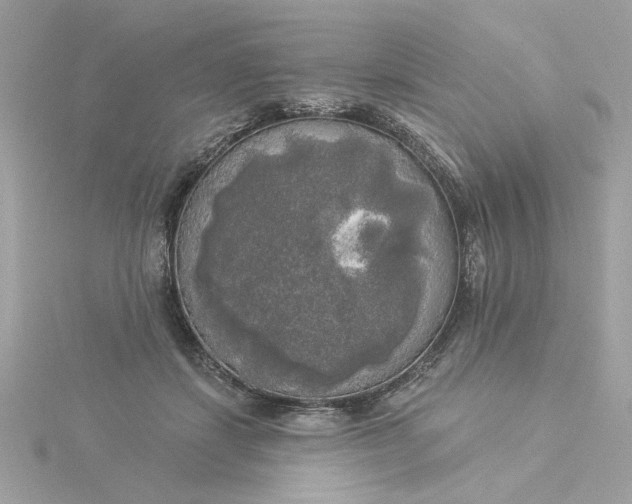 X0000116030459200912041938