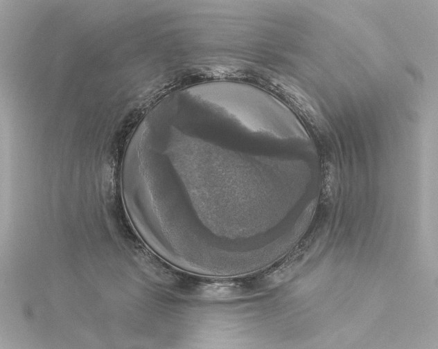 X0000116030461200912041938