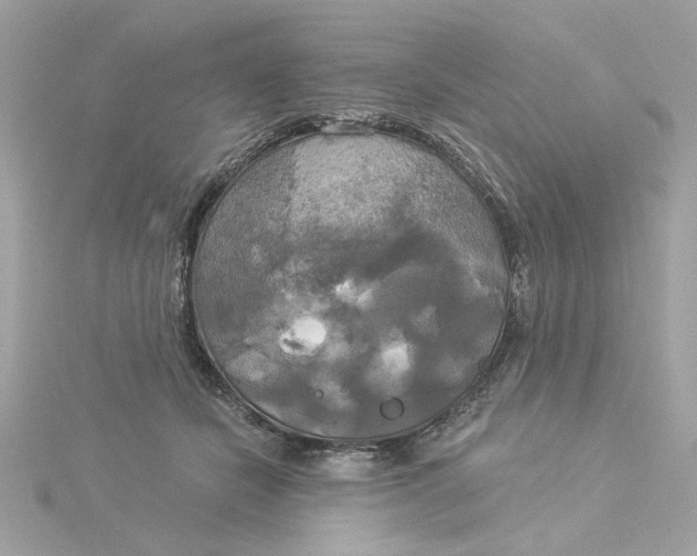 X0000116030462200912041938