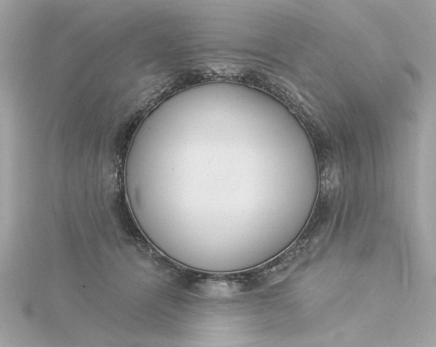 X0000116030464200912041938