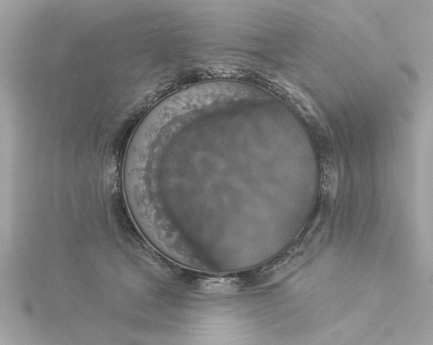 X0000116030465200912041938