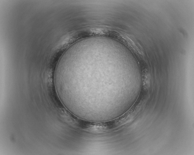 X0000116030466200912041938