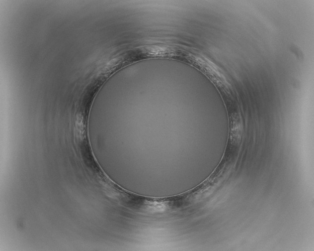 X0000116030469200912041938