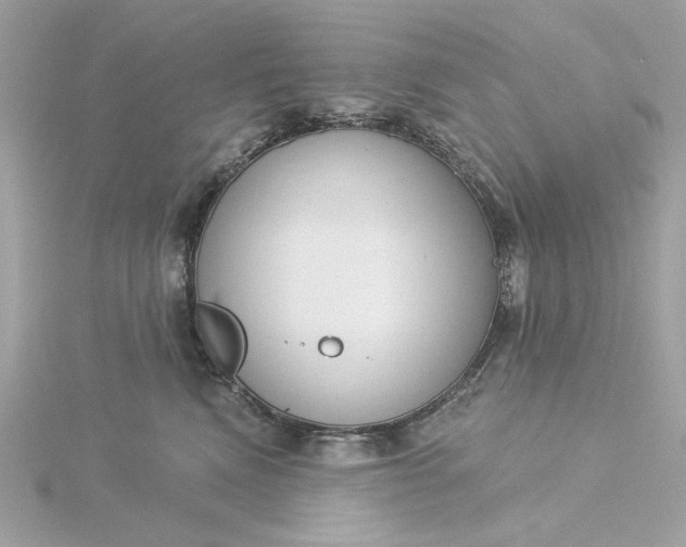 X0000116030472200912041938