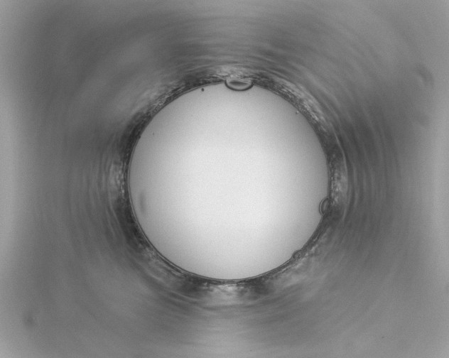 X0000116030473200912041938