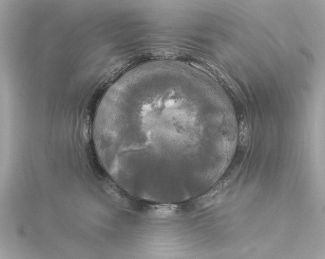 X0000116030474200912041938