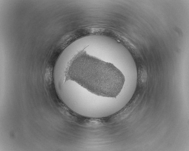 X0000116030475200912041938