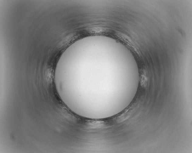 X0000116030476200912041938