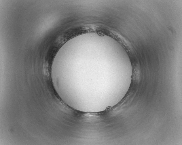 X0000116030477200912041938