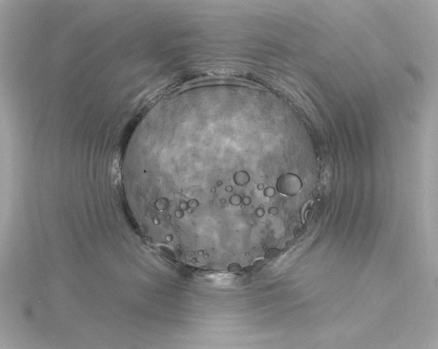 X0000116030478200912041938